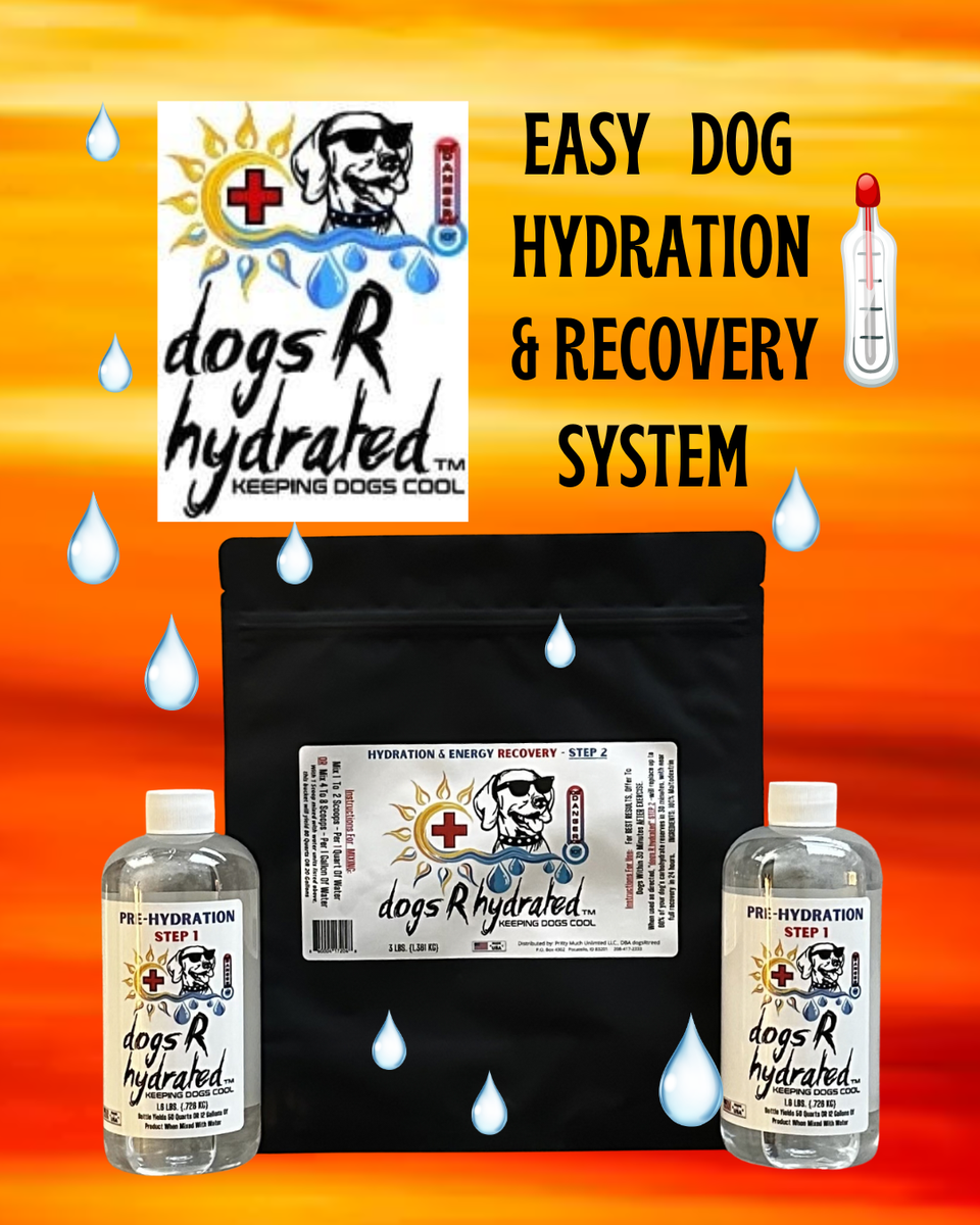dogs R treed - DOGS R HYDRATED - HYDRATION - ENERGY - DOG NUTRITION ...