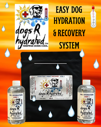 dogs R treed - DOGS R HYDRATED - HYDRATION - ENERGY - DOG NUTRITION ...