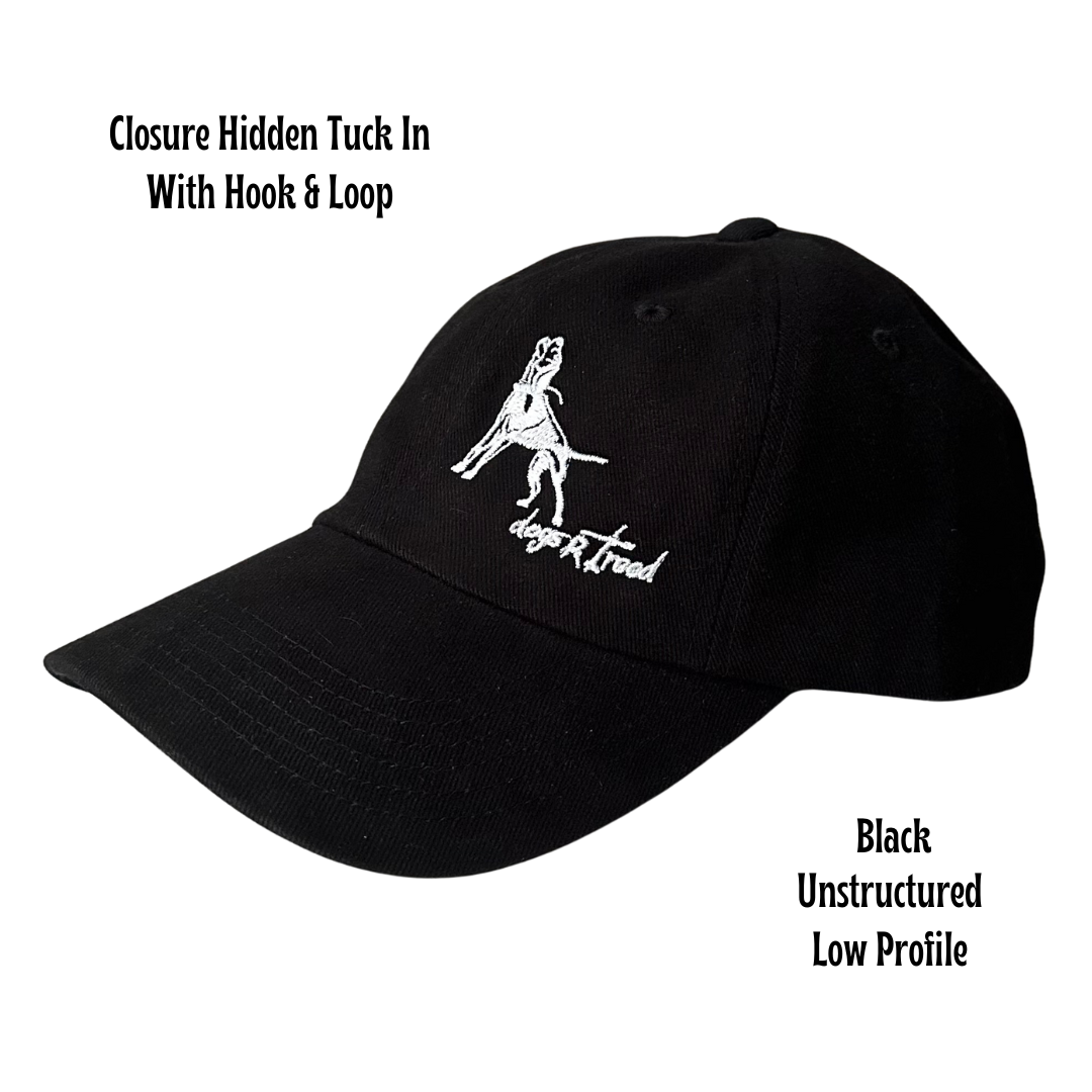 dogsRtreed Cap - dogsRtreed LOGO Bio-Washed Unstructured - Adult