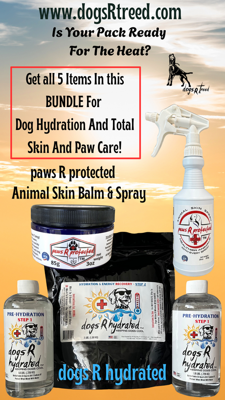 A product bundle for dogs including a hydration therapy product and paw care items, with labels and branding related to dog care.