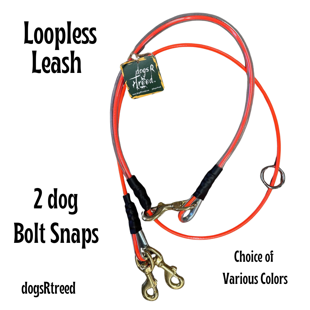 Wire leash cheap