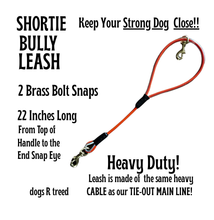 Load image into Gallery viewer, dogsRtreed SHORTIE - HEAVY DUTY SHORT LEASH - Bully Style