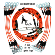 Load image into Gallery viewer, dogs R treed DOG SAFETY TRAVEL TIE-OUTS