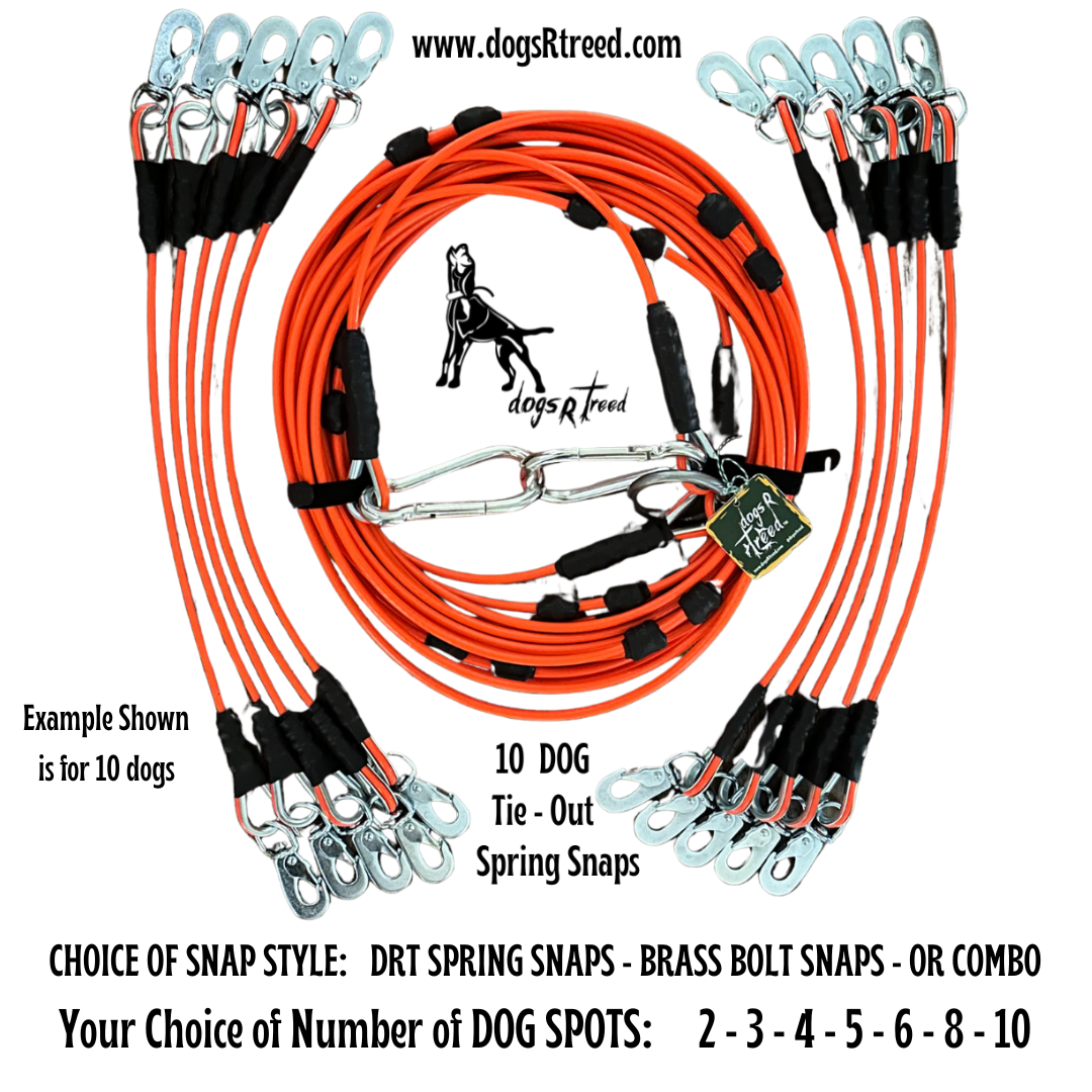 DOG SAFETY TRAVEL TIE-OUTS by dogsRtreed