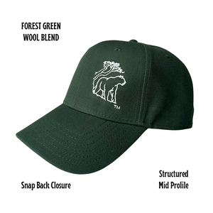 dogsRtreed TRACKING THE LONGWALKER HAT