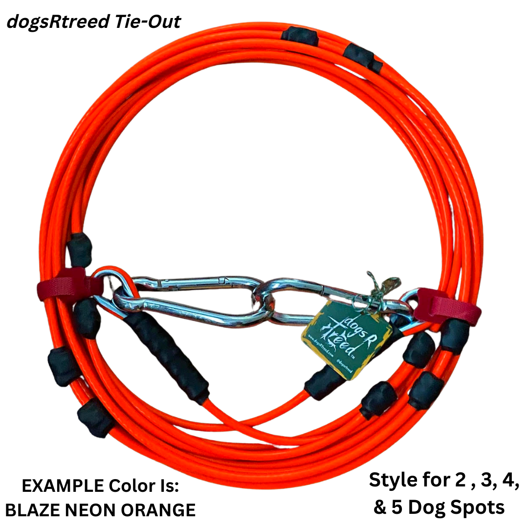 dogs R treed DOG SAFETY TRAVEL TIE-OUTS